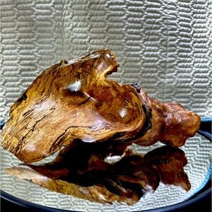 Burled Red Oak “Grow-Over” with Fungal Spalting Wood Sculpture One of a Kind